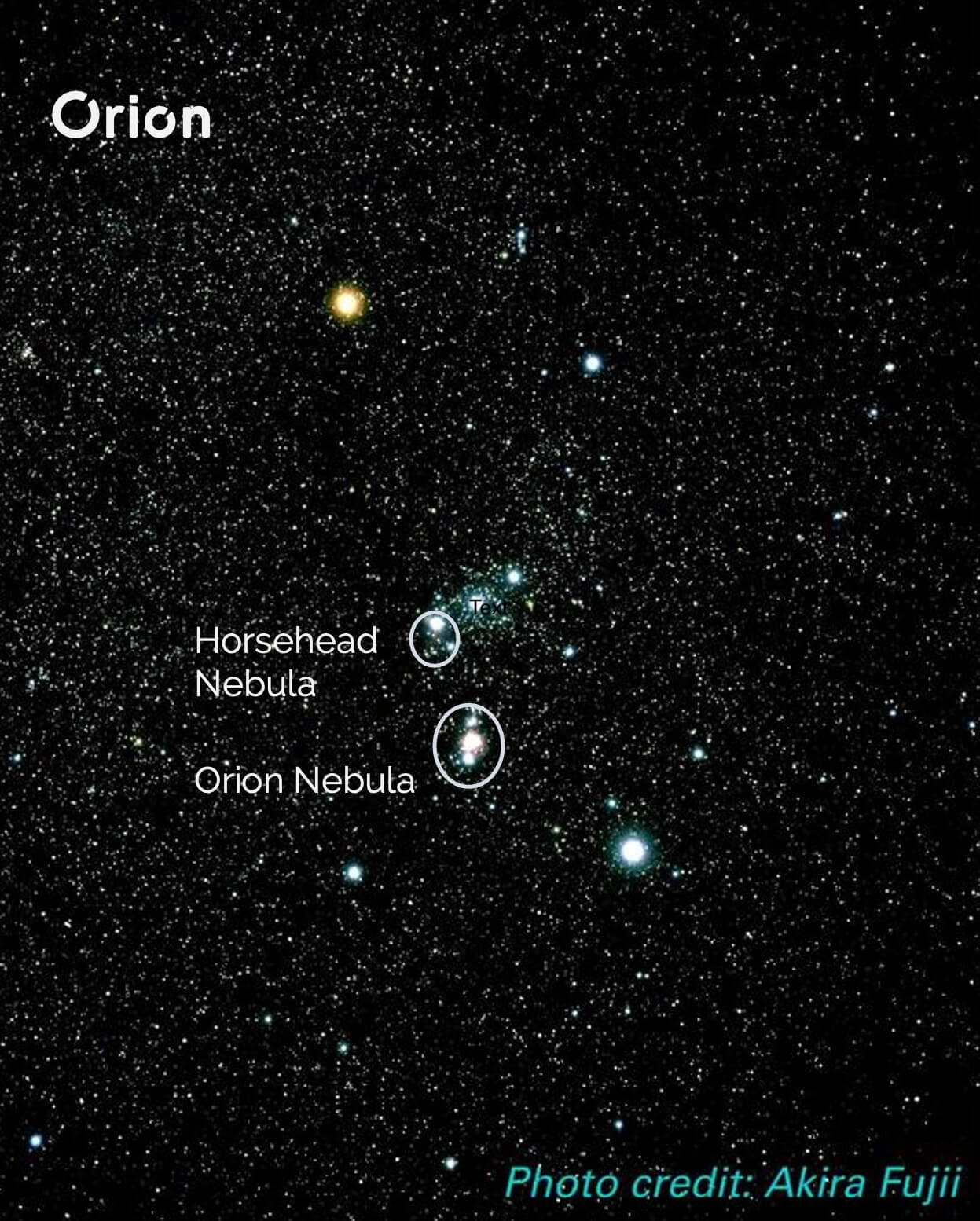 The Constellation Orion, showing the location of the Horsehead and Orion Nebula.