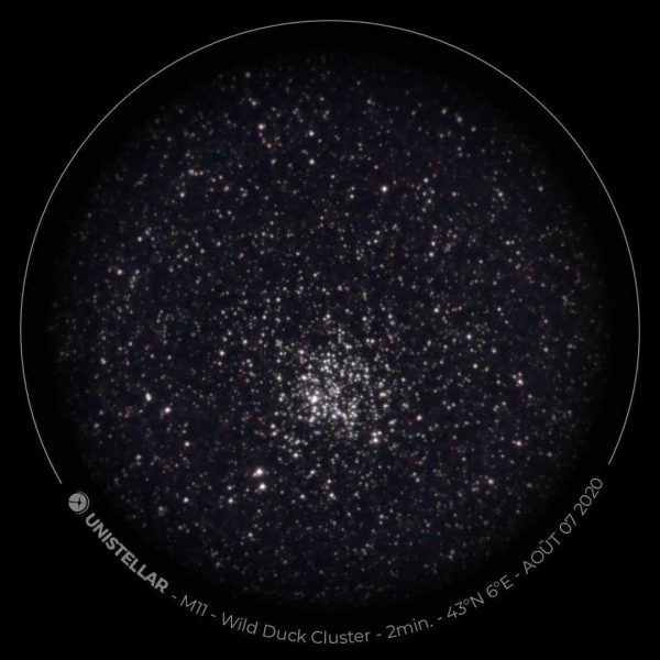 wild-duck-cluster-m11-600x600