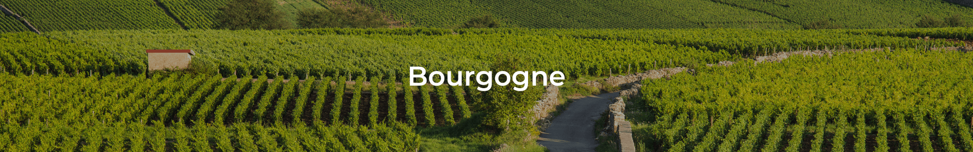 Bourgogne