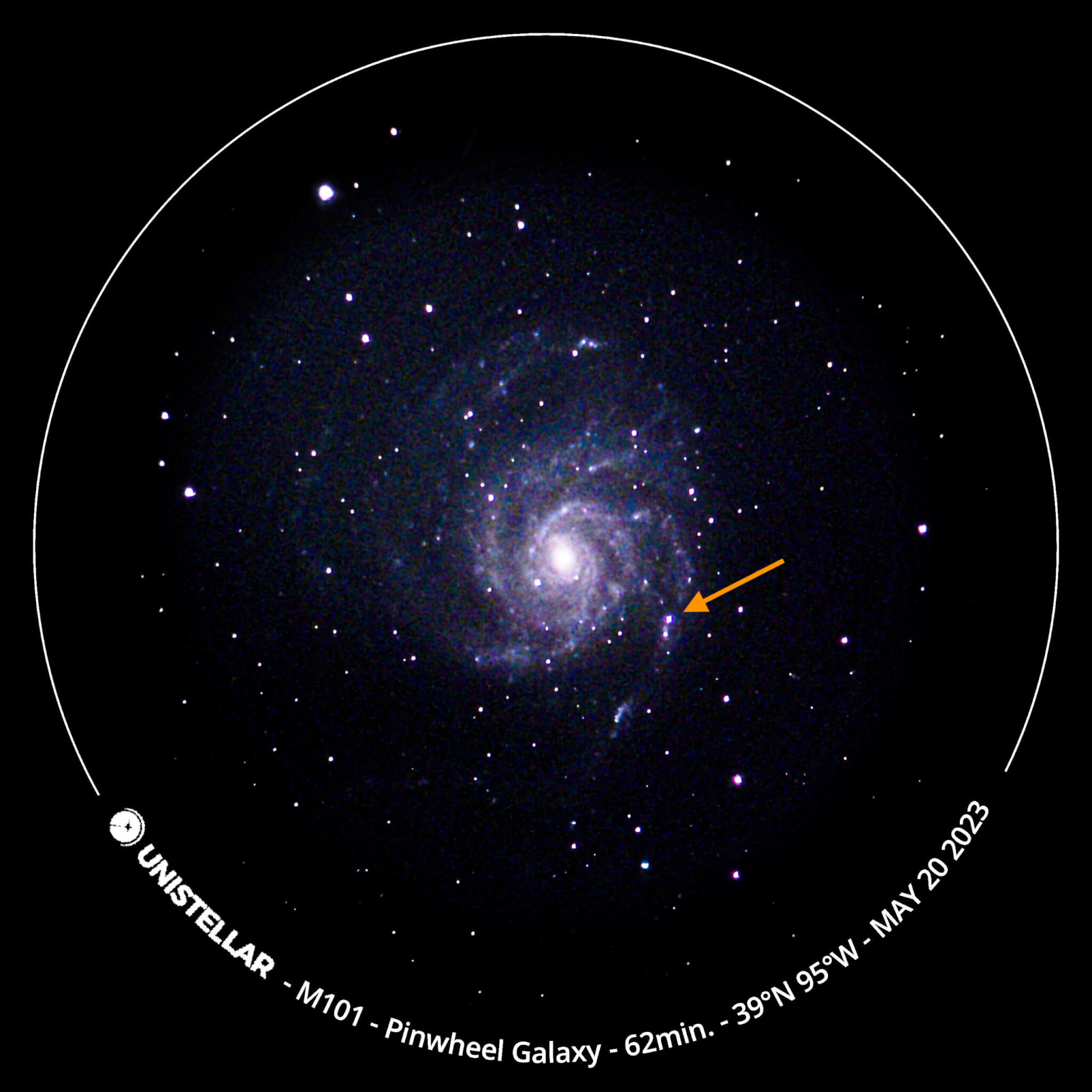 Supernova in the Pinwheel Galaxy hq pic