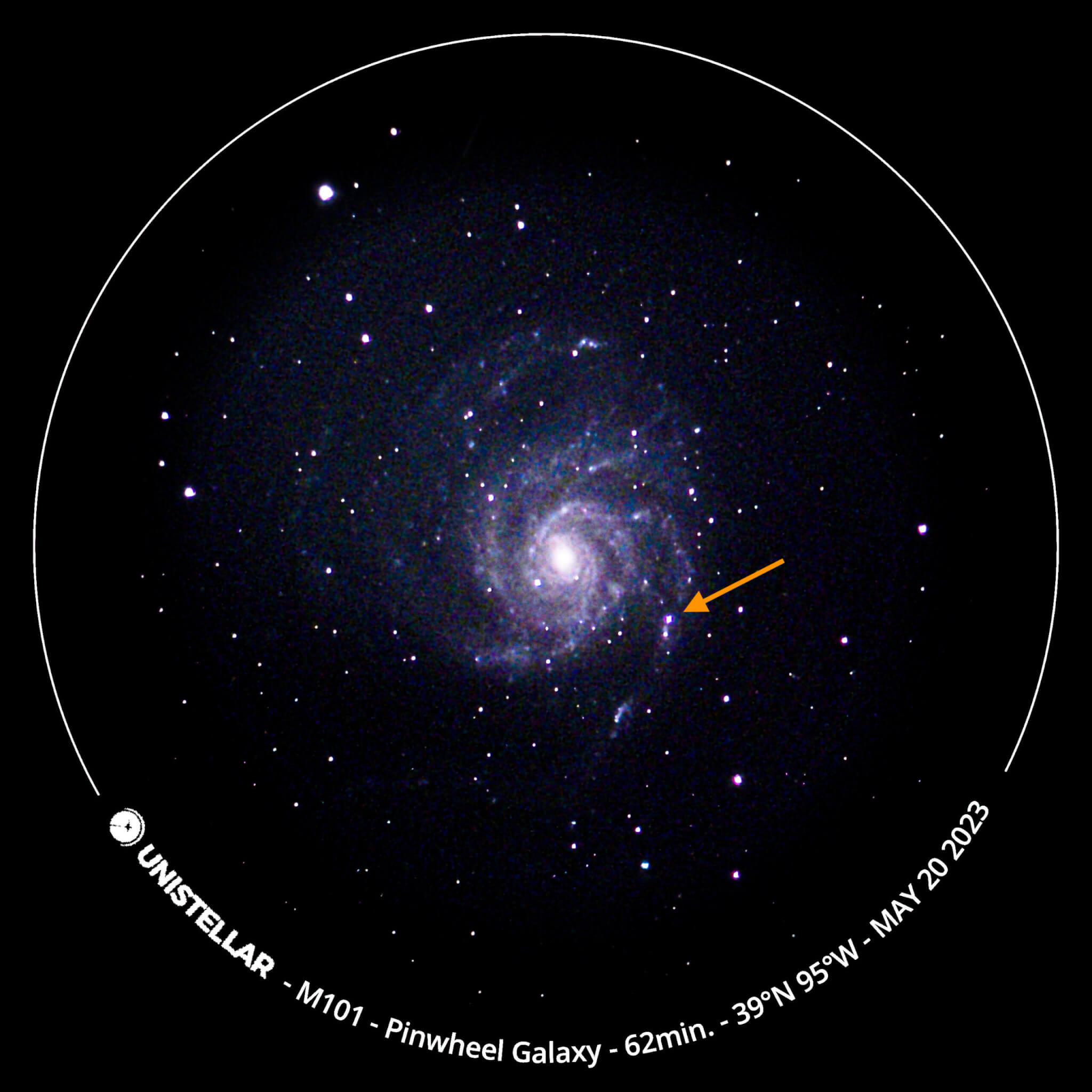 Supernova in the Pinwheel Galaxy