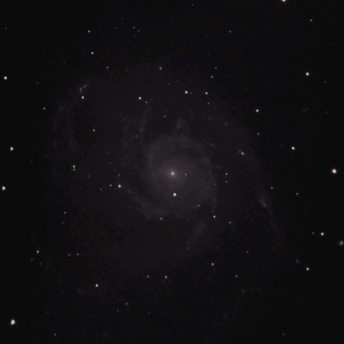 StefanWill_SN2023ixf-beforeafter