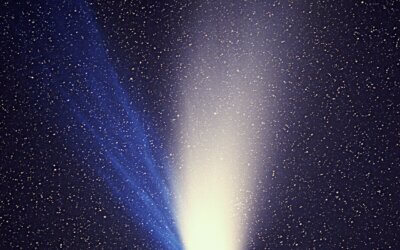 Comet Pons-Brooks Puts on a Show